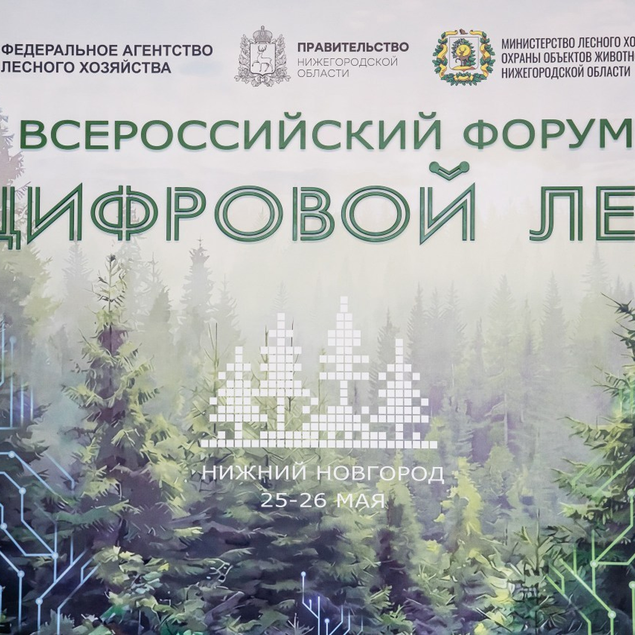 Отзывы. Свадебный, репортажный фотограф Фомин Андрей в Нижнем Новгороде