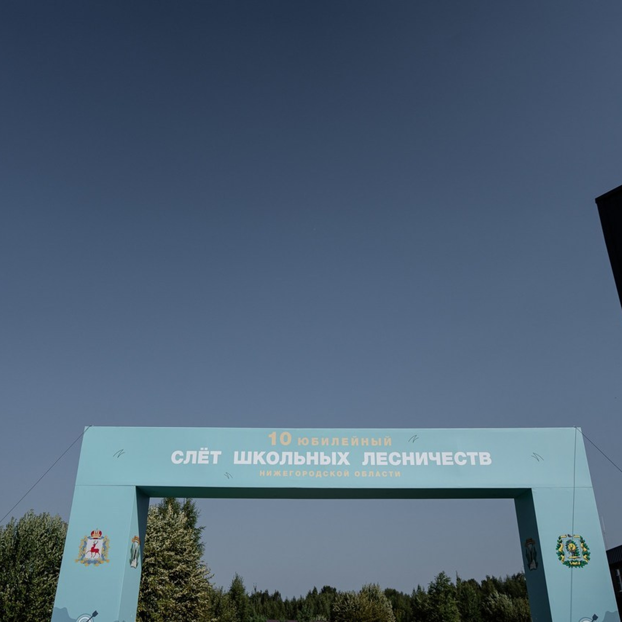 Отзывы. Свадебный, репортажный фотограф Фомин Андрей в Нижнем Новгороде
