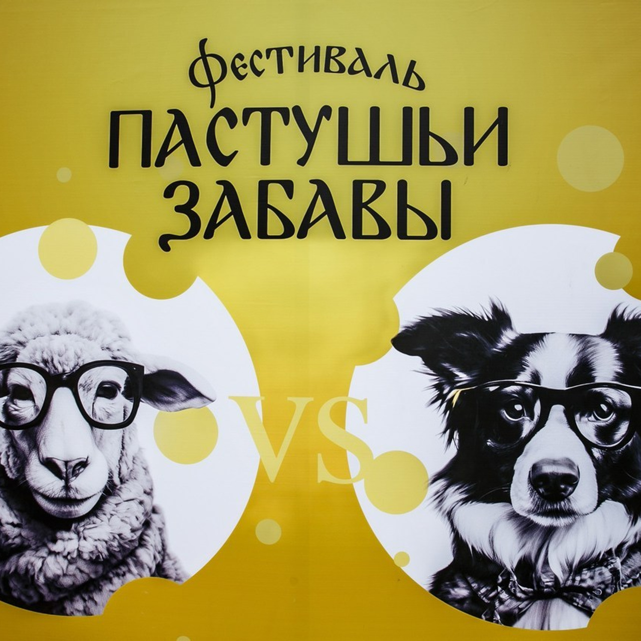 Отзывы. Свадебный и репортажный фотограф Александр Козлов