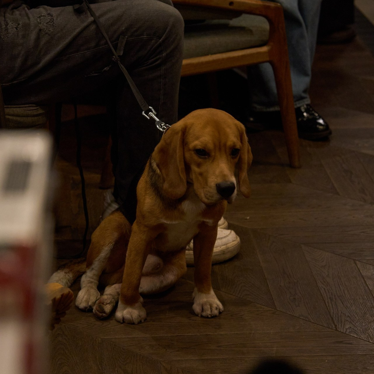 Отзывы. Фотограф в Санкт-Петербурге Настя Атом