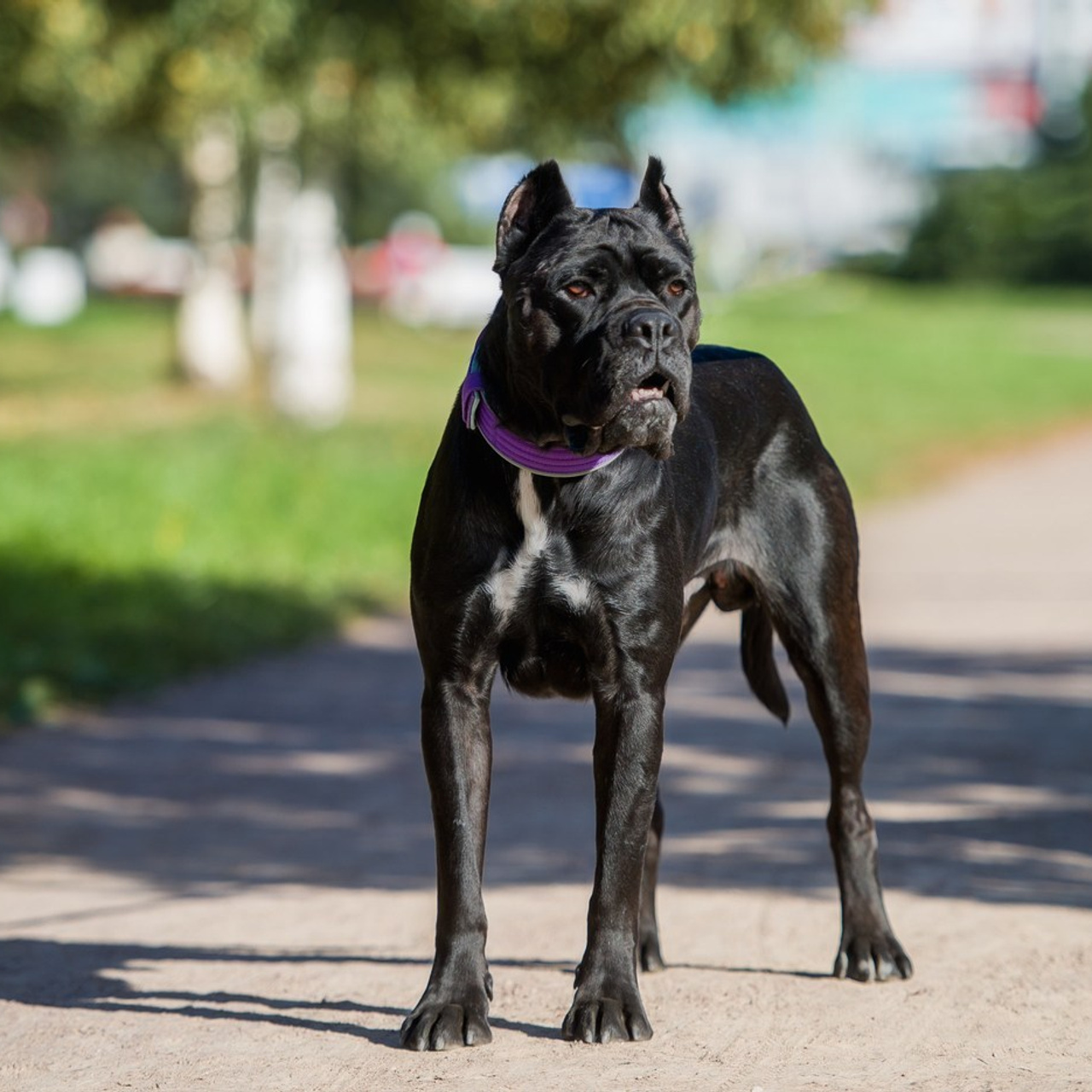 Отзывы. Фотограф в Санкт-Петербурге Вихтинский Николай