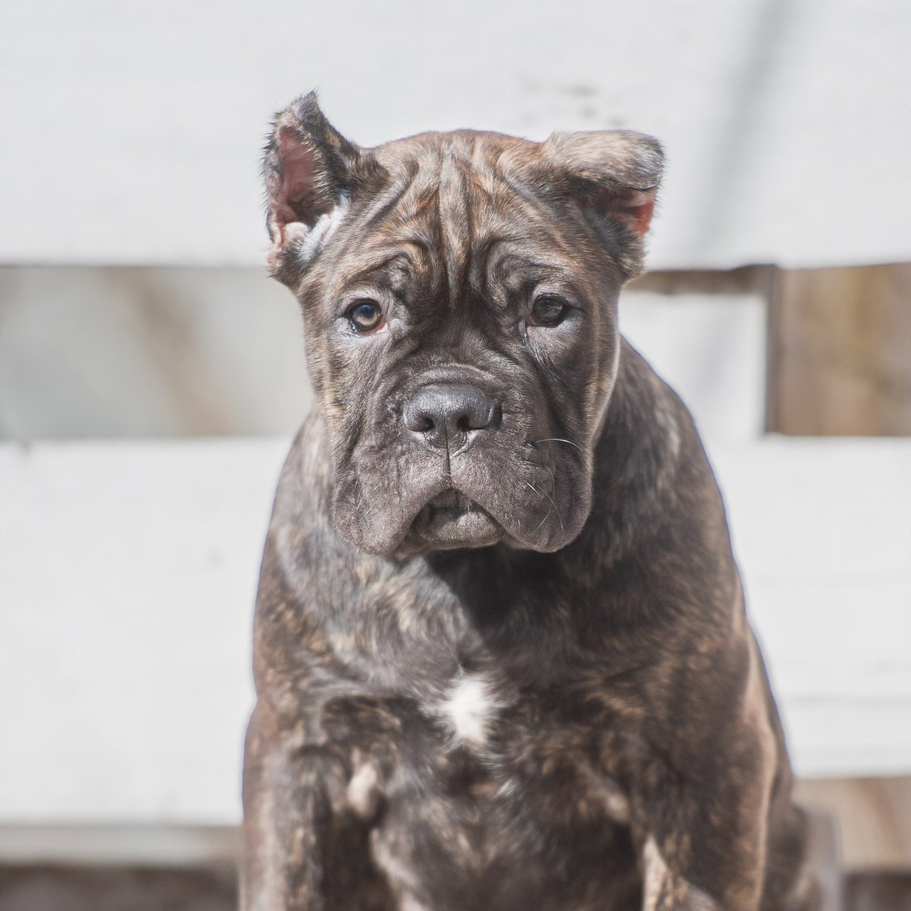 Отзывы. Фотограф в Санкт-Петербурге Вихтинский Николай