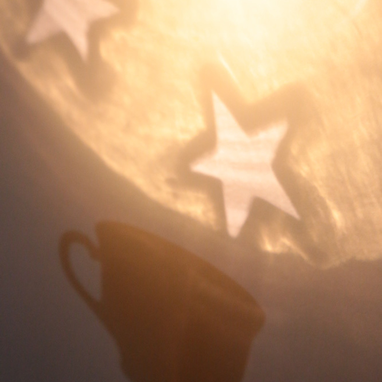 Работы студентов. Начальный уровень (1 и 2 ступень) . "Основы фото-мастерства". Максим Матвийченко и Виктория Басова профессионалы своего дела