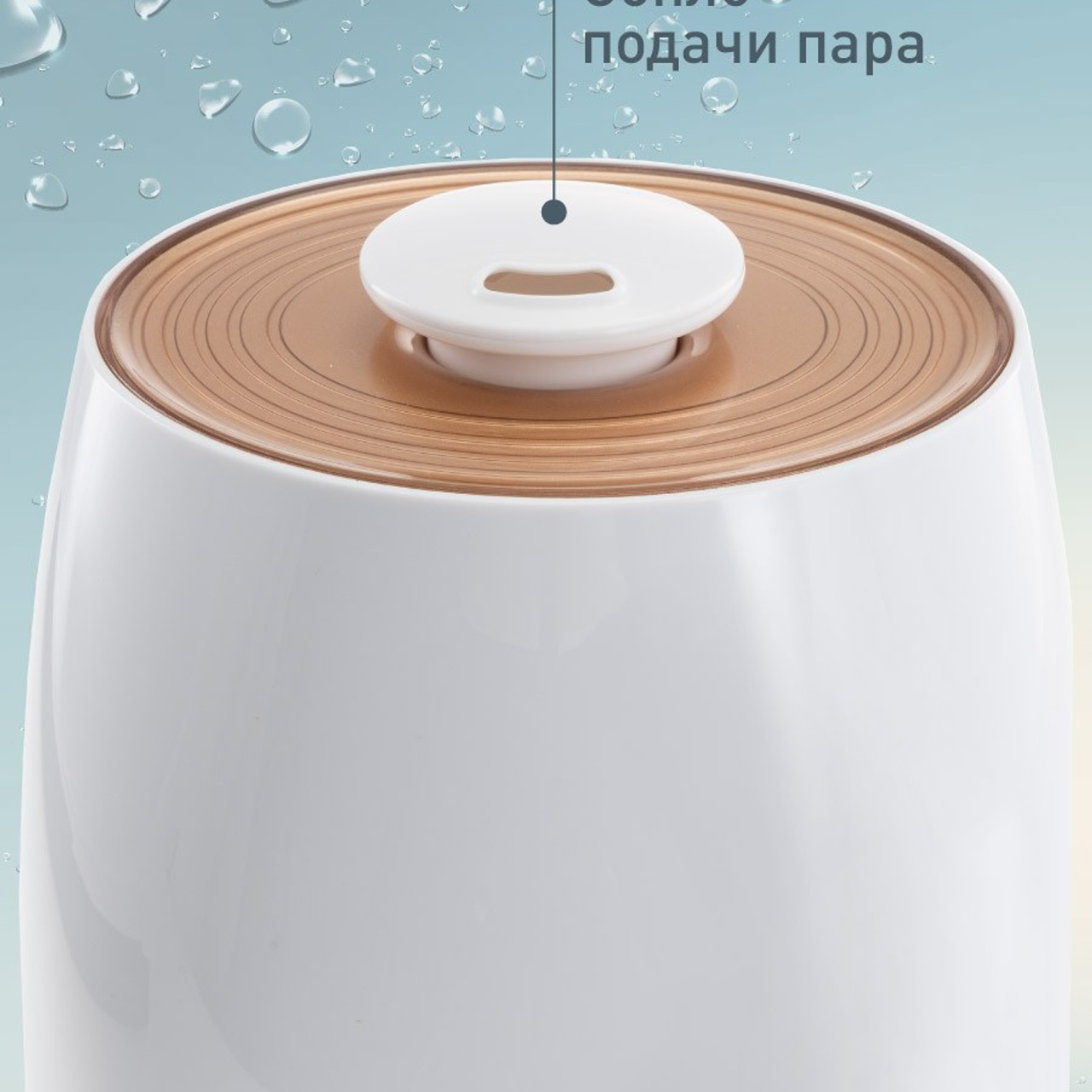 Для МАРКЕТПЛЕЙСОВ. Максим Матвийченко и Виктория Басова профессионалы своего дела