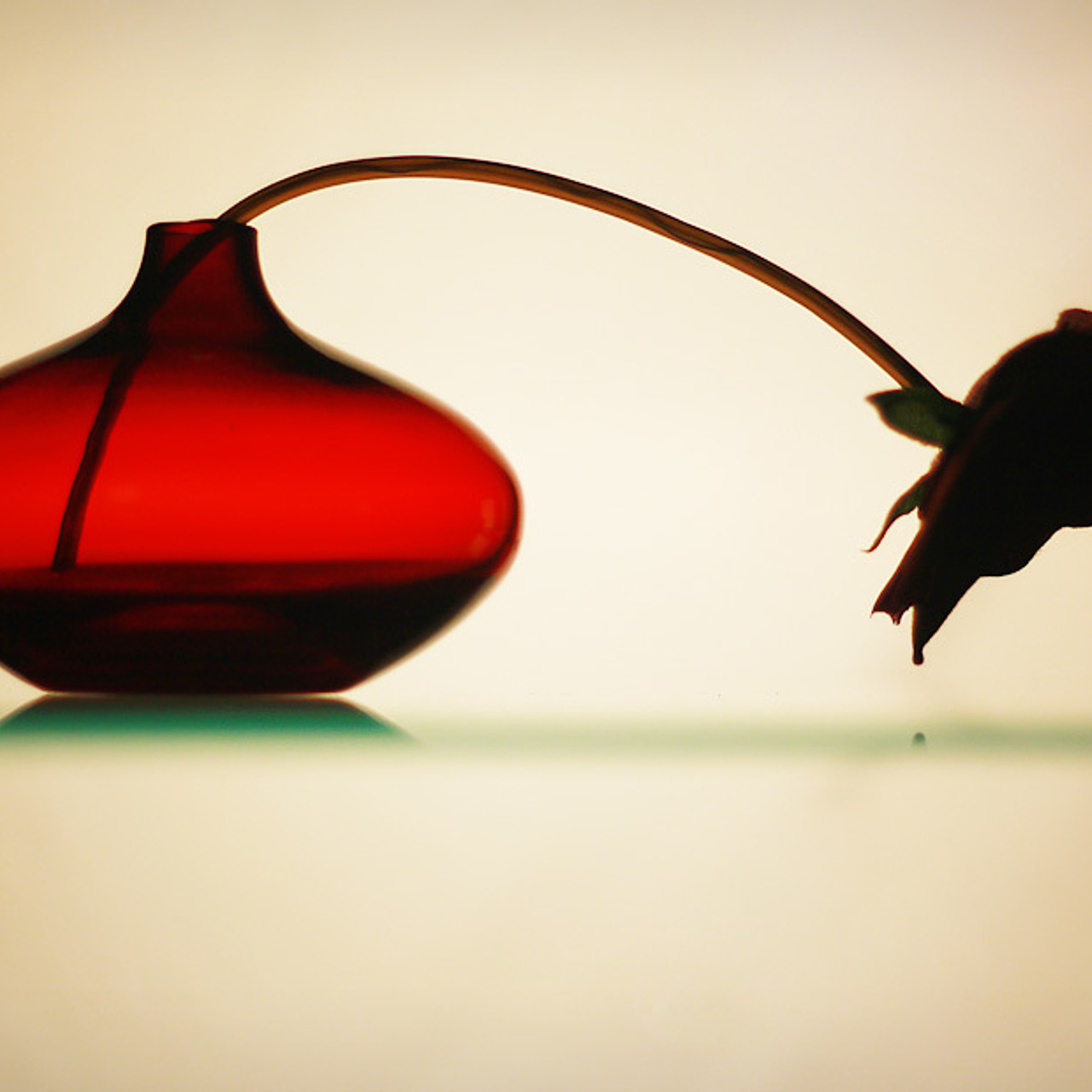 Работы студентов. Начальный уровень (1 и 2 ступень) . "Основы фото-мастерства". Максим Матвийченко и Виктория Басова профессионалы своего дела