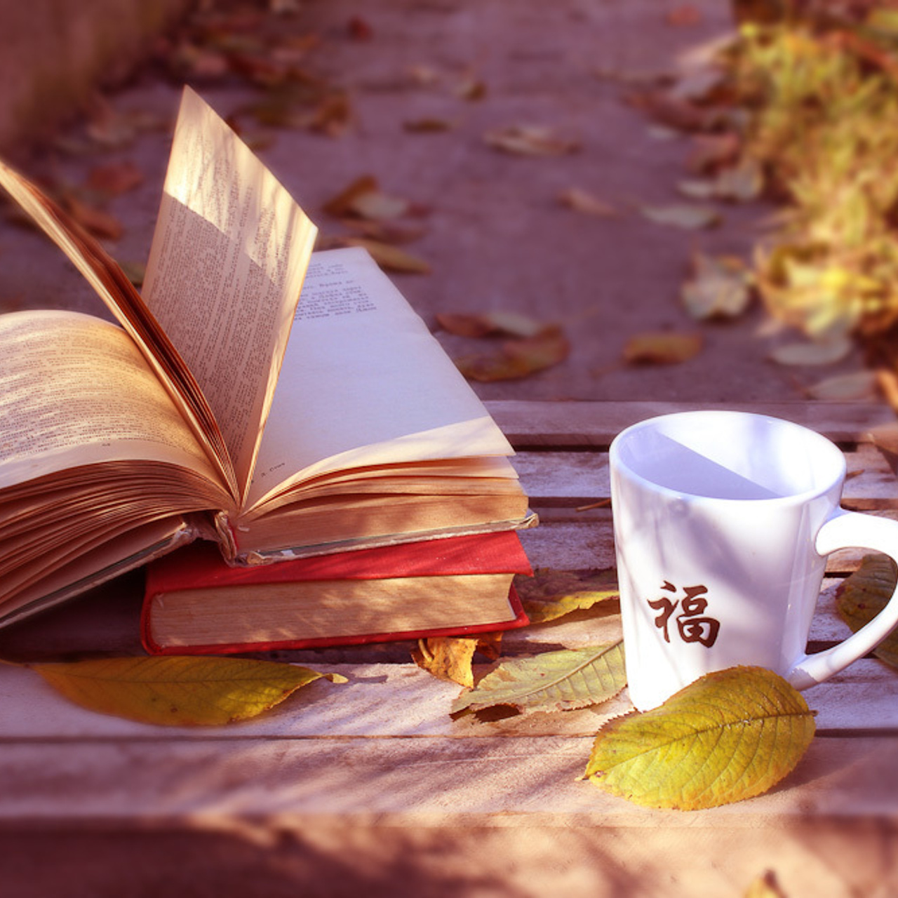 Работы студентов. Начальный уровень (1 и 2 ступень) . "Основы фото-мастерства". Максим Матвийченко и Виктория Басова профессионалы своего дела