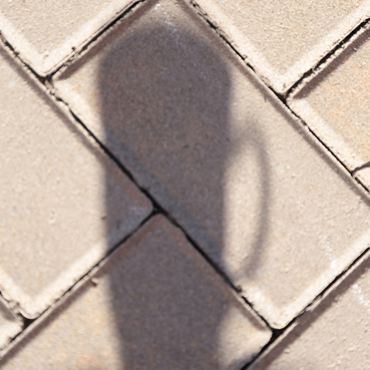 Работы студентов. Начальный уровень (1 и 2 ступень) . "Основы фото-мастерства". Максим Матвийченко и Виктория Басова профессионалы своего дела