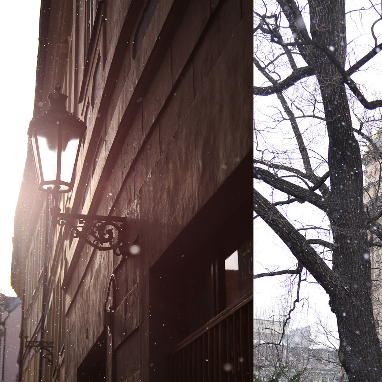 Работы студентов. Продвинутый уровень (1 и 2 ступень) . Интенсив "Художественно…. Максим Матвийченко и Виктория Басова профессионалы своего дела