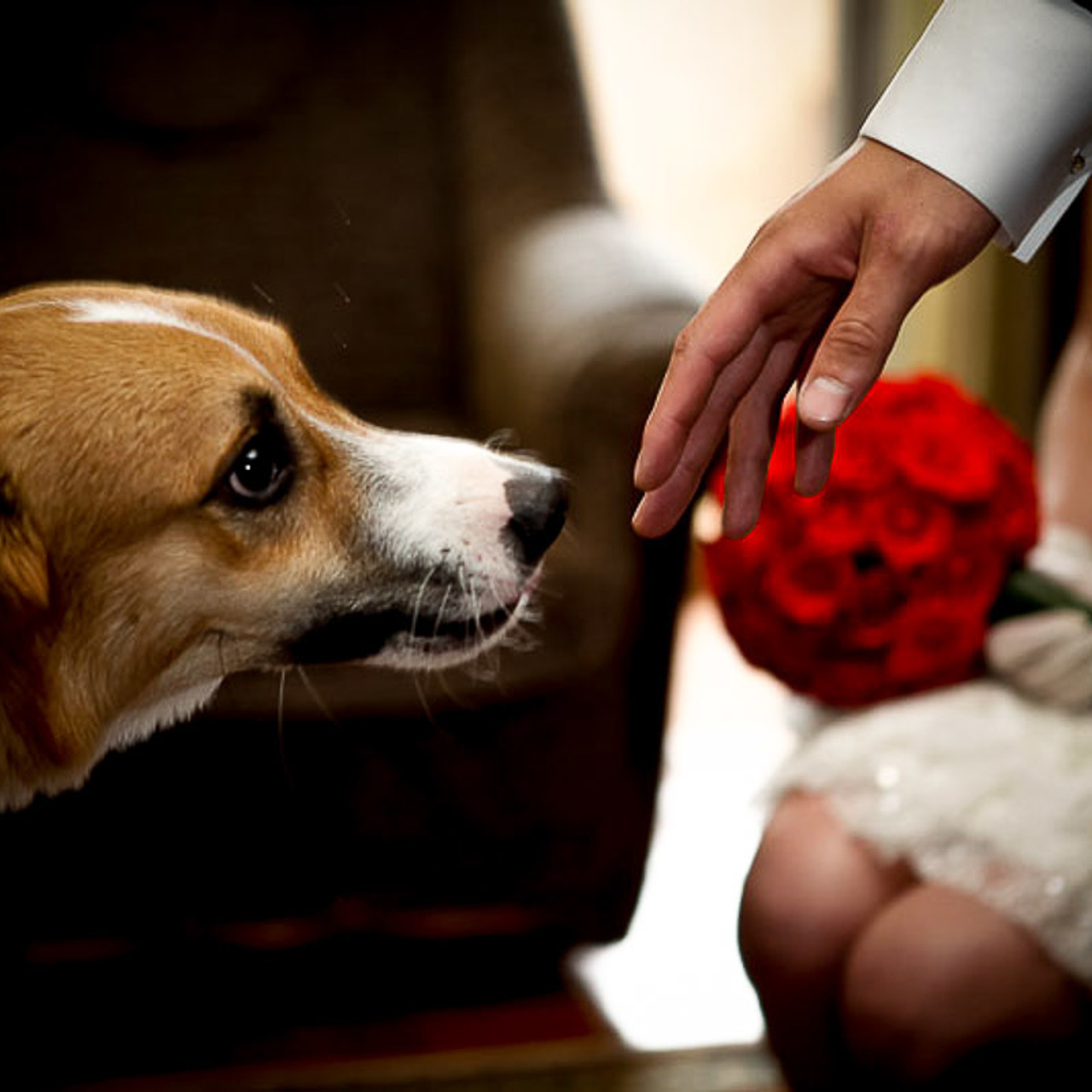 Свадебный фотограф в Ростове-на-Дону. Свадебная фотография в Ростове-н. Максим Матвийченко и Виктория Басова профессионалы своего дела