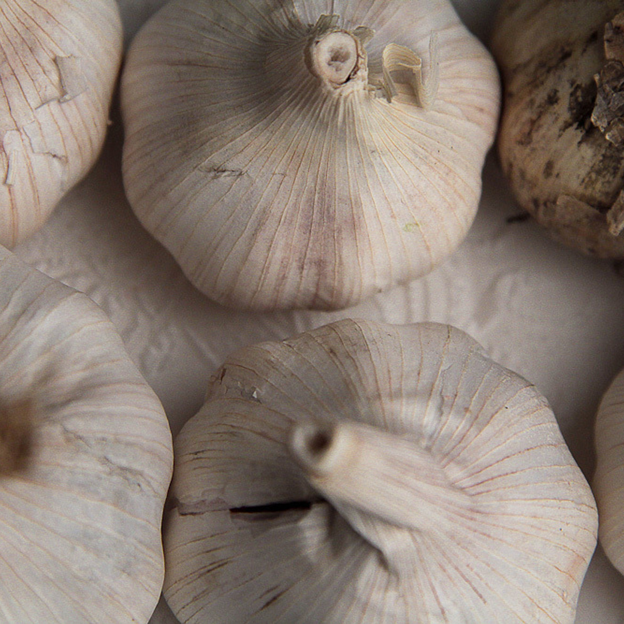 Работы студентов. Начальный уровень (1 и 2 ступень) . "Основы фото-мастерства". Максим Матвийченко и Виктория Басова профессионалы своего дела