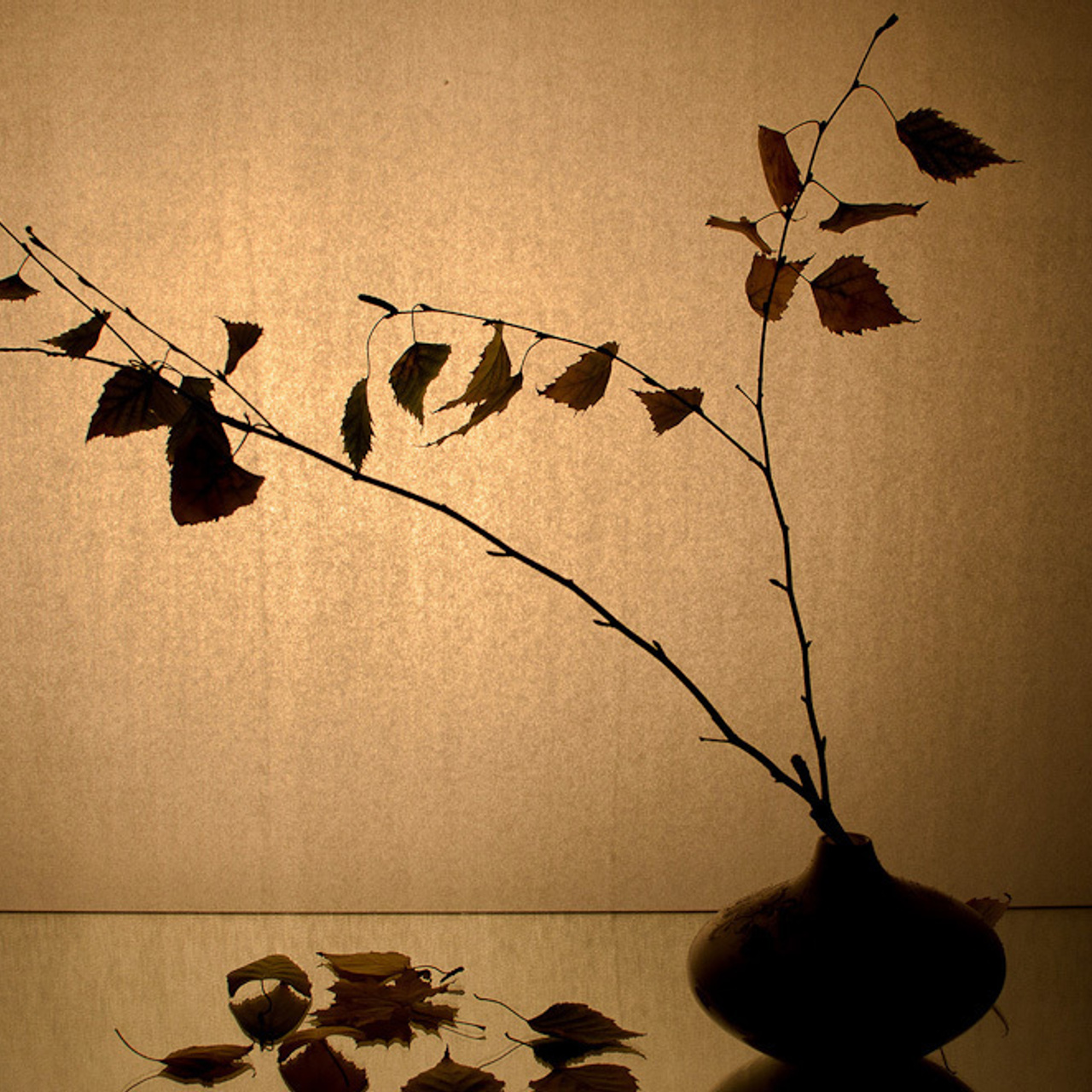 Работы студентов. Начальный уровень (1 и 2 ступень) . "Основы фото-мастерства". Максим Матвийченко и Виктория Басова профессионалы своего дела