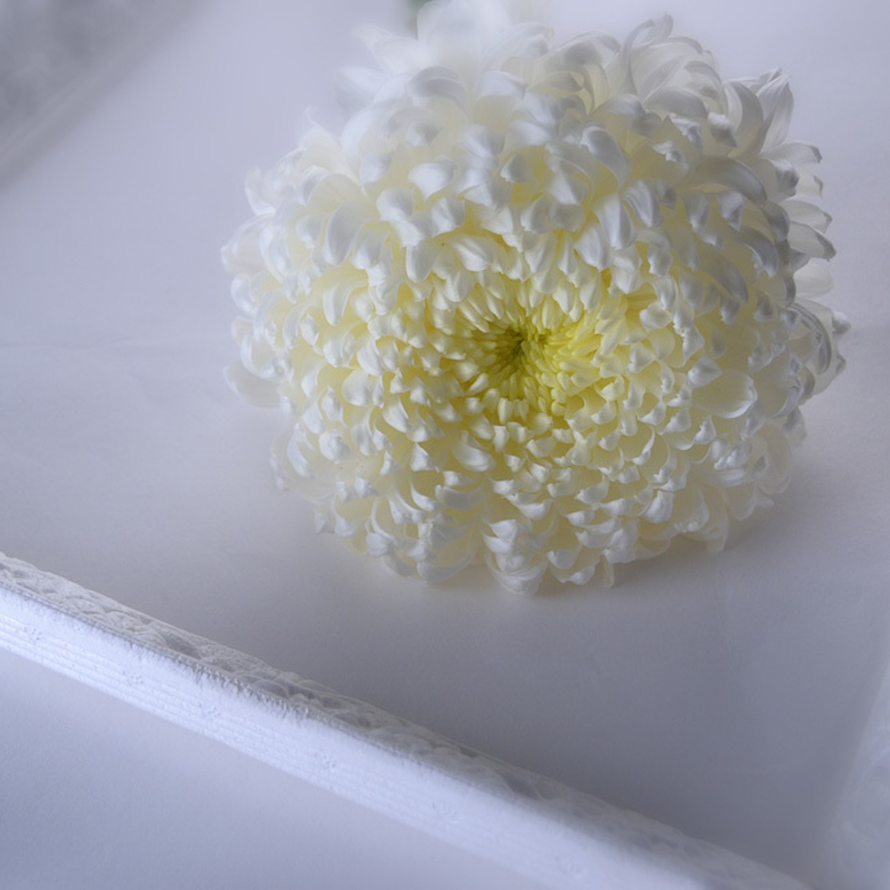 Работы студентов. Начальный уровень (1 и 2 ступень) . "Основы фото-мастерства". Максим Матвийченко и Виктория Басова профессионалы своего дела