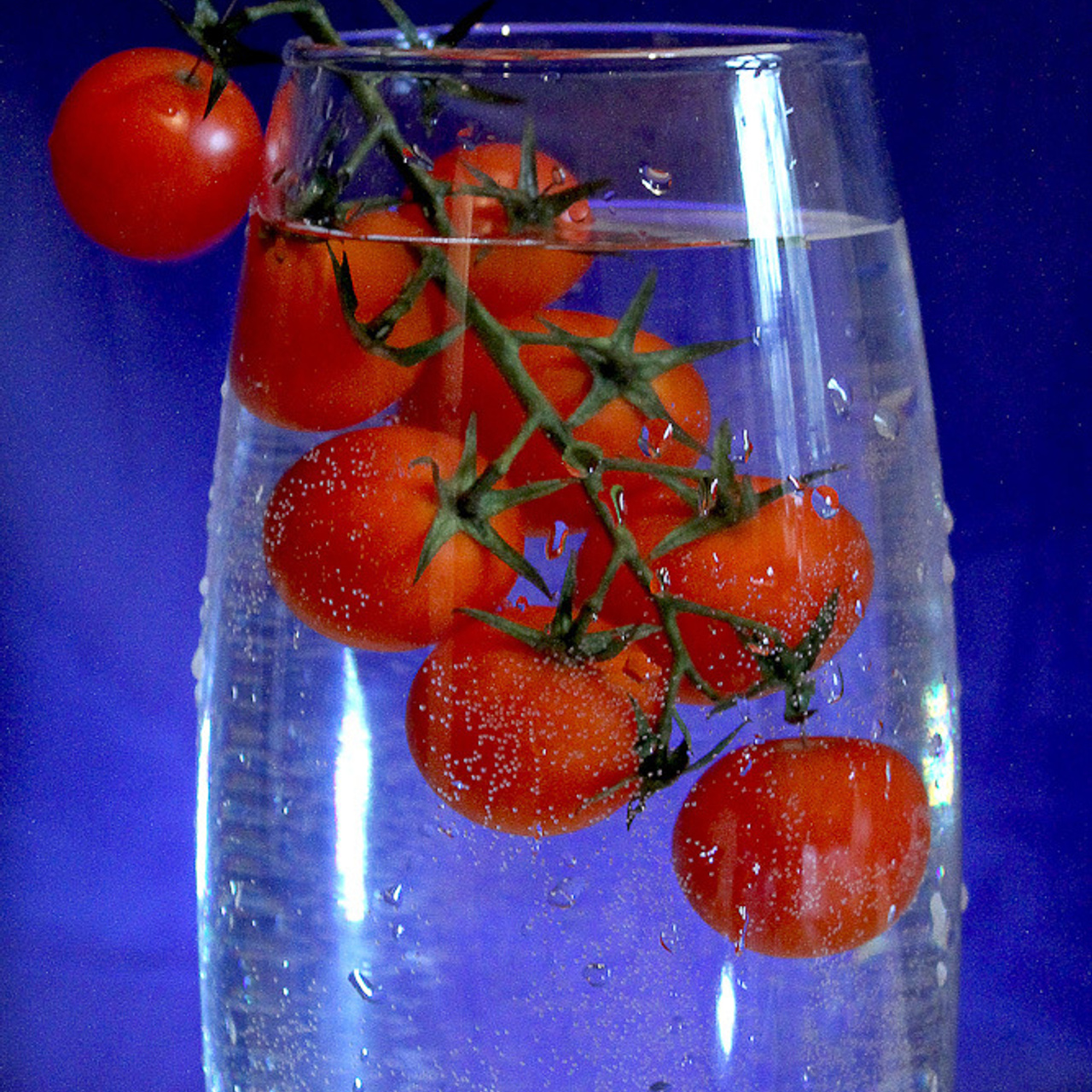 Работы студентов. Начальный уровень (1 и 2 ступень) . "Основы фото-мастерства". Максим Матвийченко и Виктория Басова профессионалы своего дела