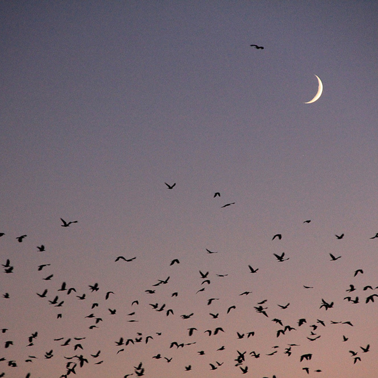 Работы студентов. Начальный уровень (1 и 2 ступень) . "Основы фото-мастерства". Максим Матвийченко и Виктория Басова профессионалы своего дела