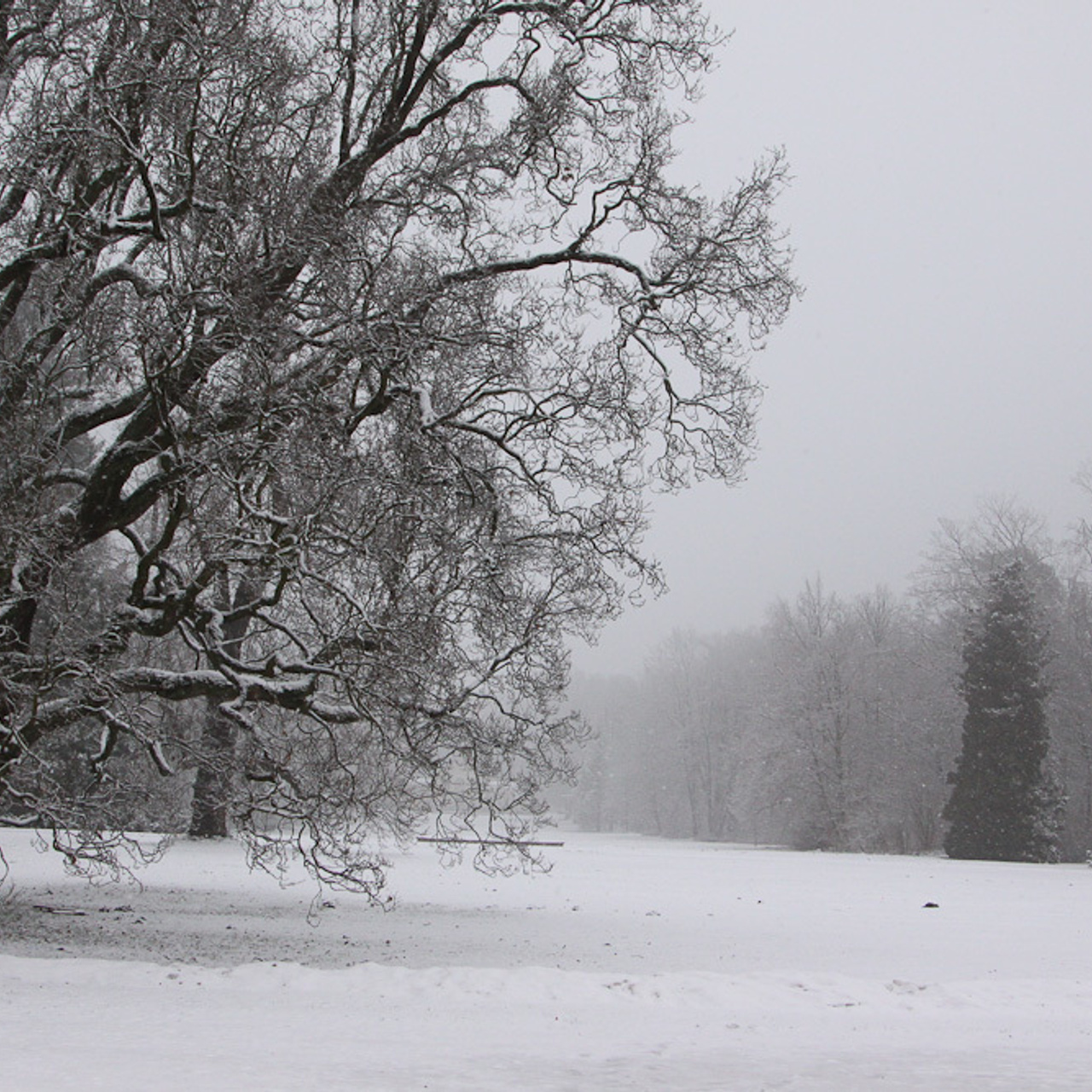 Работы студентов. Продвинутый уровень (1 и 2 ступень) . Интенсив "Художественно…. Максим Матвийченко и Виктория Басова профессионалы своего дела