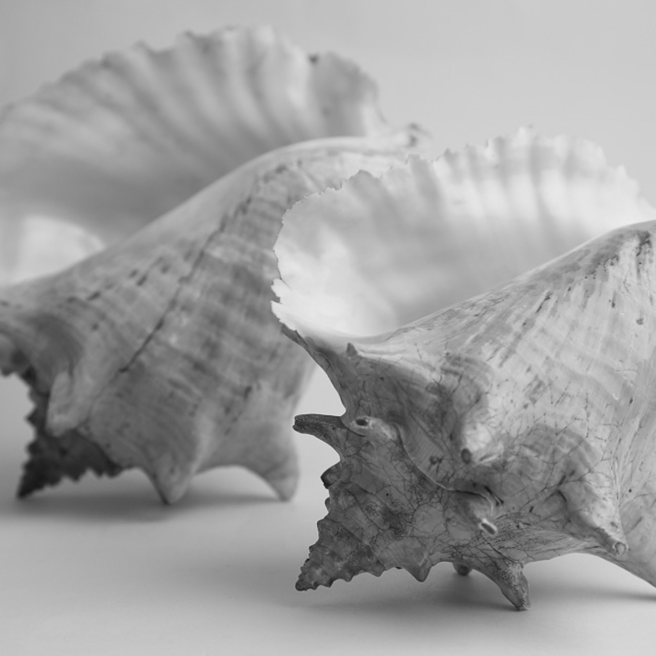 Работы студентов. Начальный уровень (1 и 2 ступень) . "Основы фото-мастерства". Максим Матвийченко и Виктория Басова профессионалы своего дела