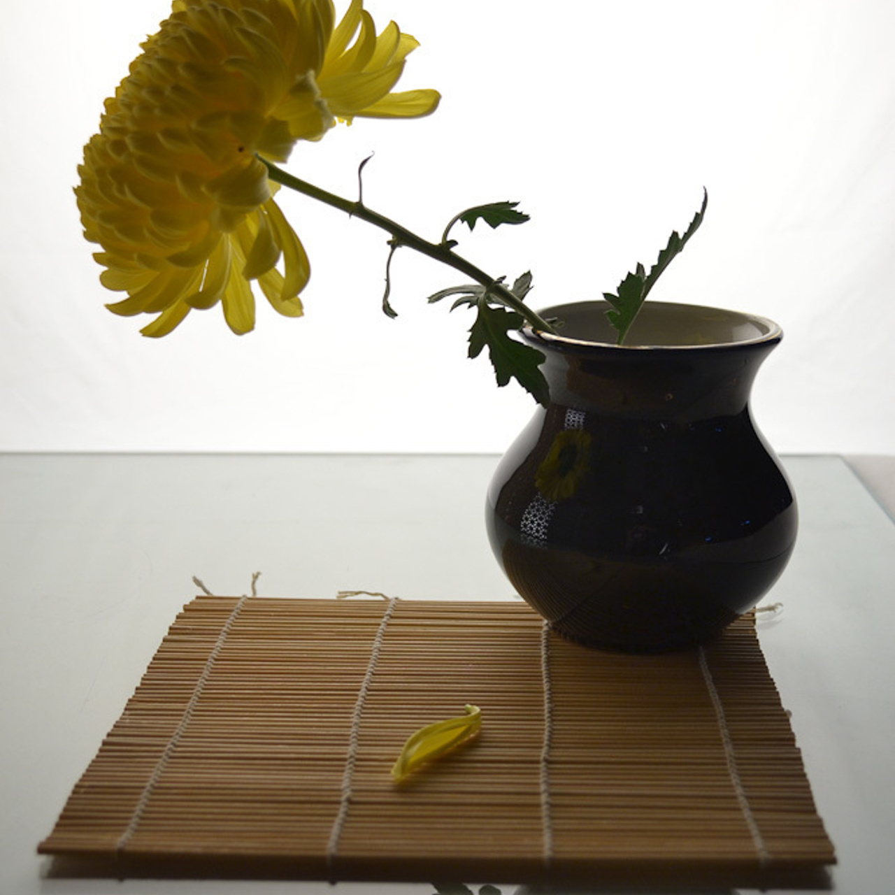 Работы студентов. Начальный уровень (1 и 2 ступень) . "Основы фото-мастерства". Максим Матвийченко и Виктория Басова профессионалы своего дела