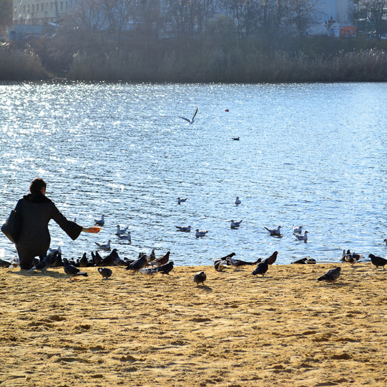 Работы студентов. Начальный уровень (1 и 2 ступень) . "Основы фото-мастерства". Максим Матвийченко и Виктория Басова профессионалы своего дела