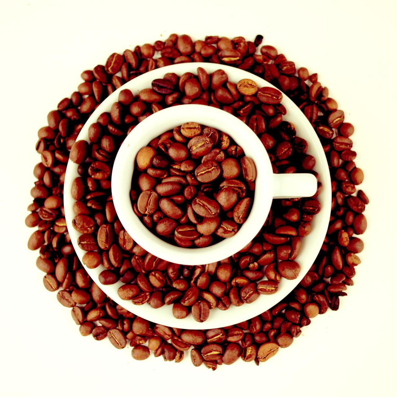 Работы студентов. Начальный уровень (1 и 2 ступень) . "Основы фото-мастерства". Максим Матвийченко и Виктория Басова профессионалы своего дела