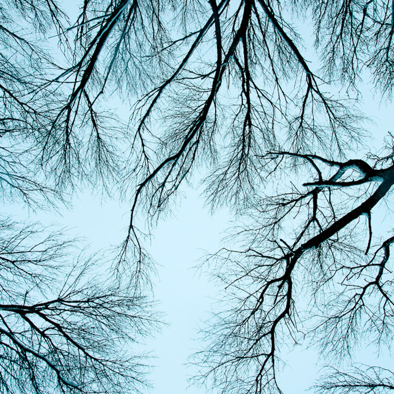 Работы студентов. Начальный уровень (1 и 2 ступень) . "Основы фото-мастерства". Максим Матвийченко и Виктория Басова профессионалы своего дела