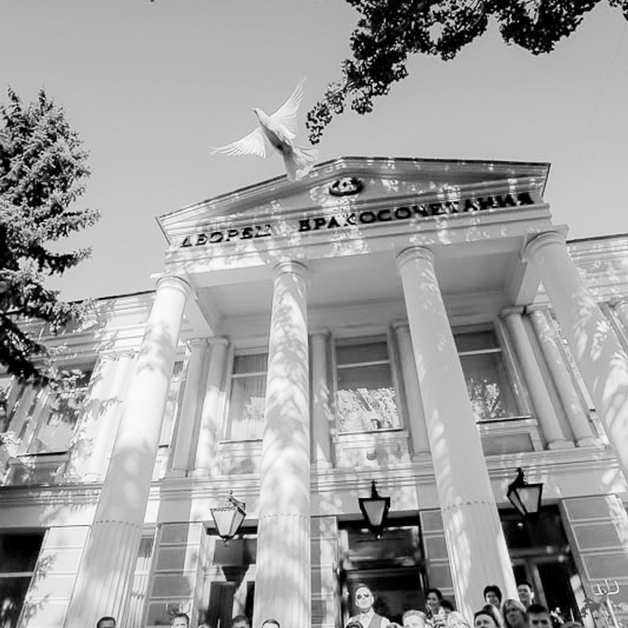 Свадебный фотограф в Ростове-на-Дону. Свадебная фотография в Ростове-н. Максим Матвийченко и Виктория Басова профессионалы своего дела