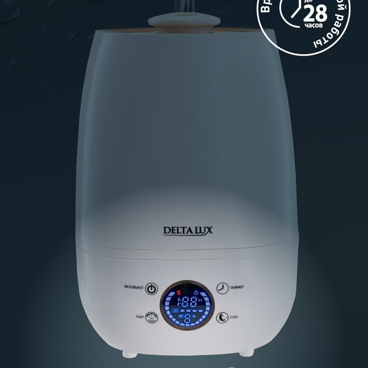 Для МАРКЕТПЛЕЙСОВ. Максим Матвийченко и Виктория Басова профессионалы своего дела