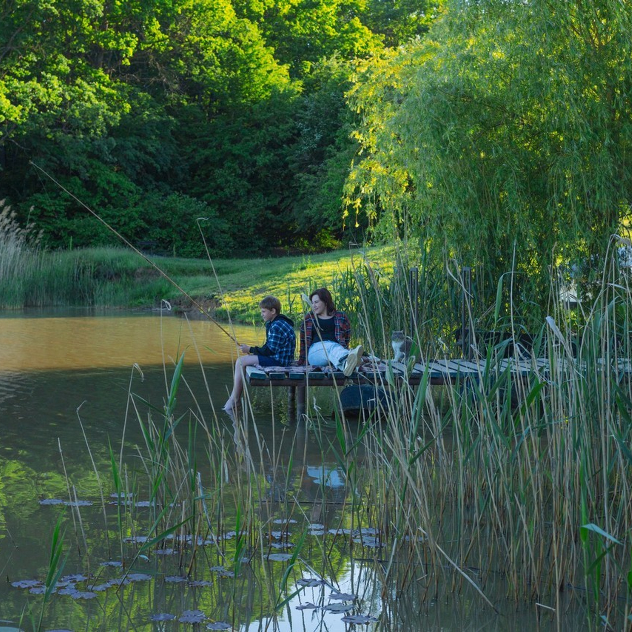 Отзывы. Фотограф в Северском районе| г. Краснодар Алена Заливчая