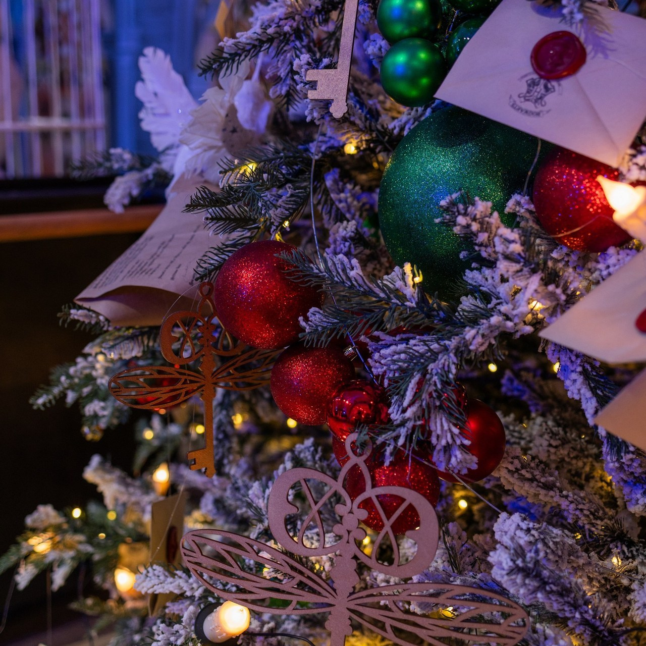 Отзывы. Фотограф Сочи Татьяна Зорина