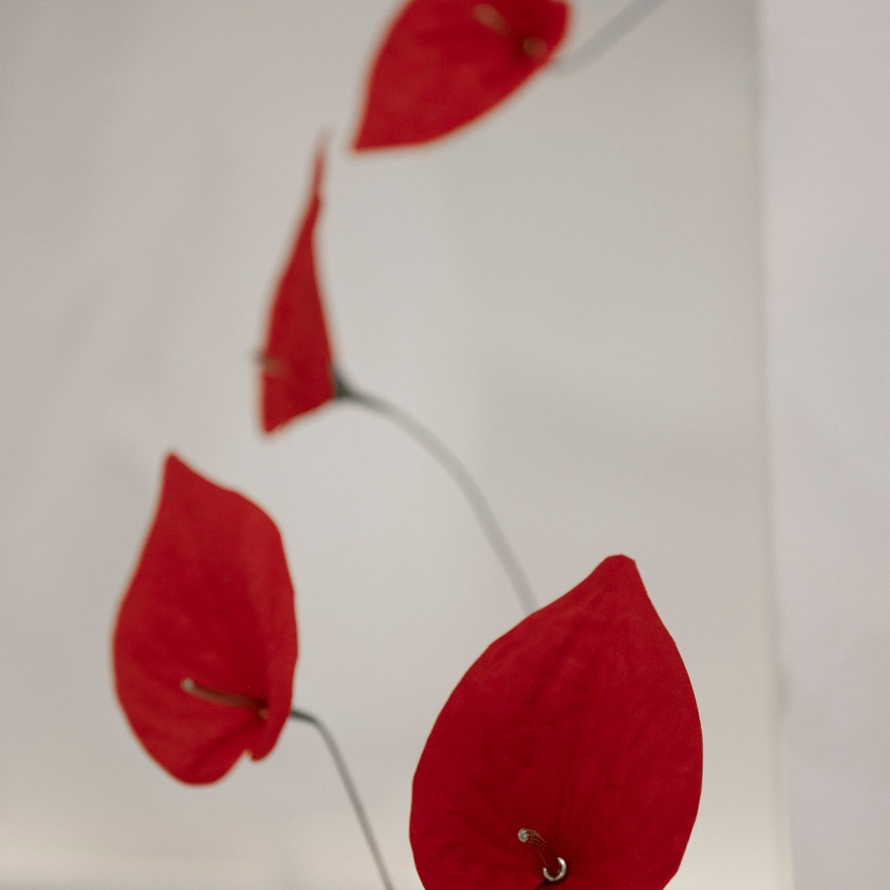 Отзывы. Фотограф Антон Горин