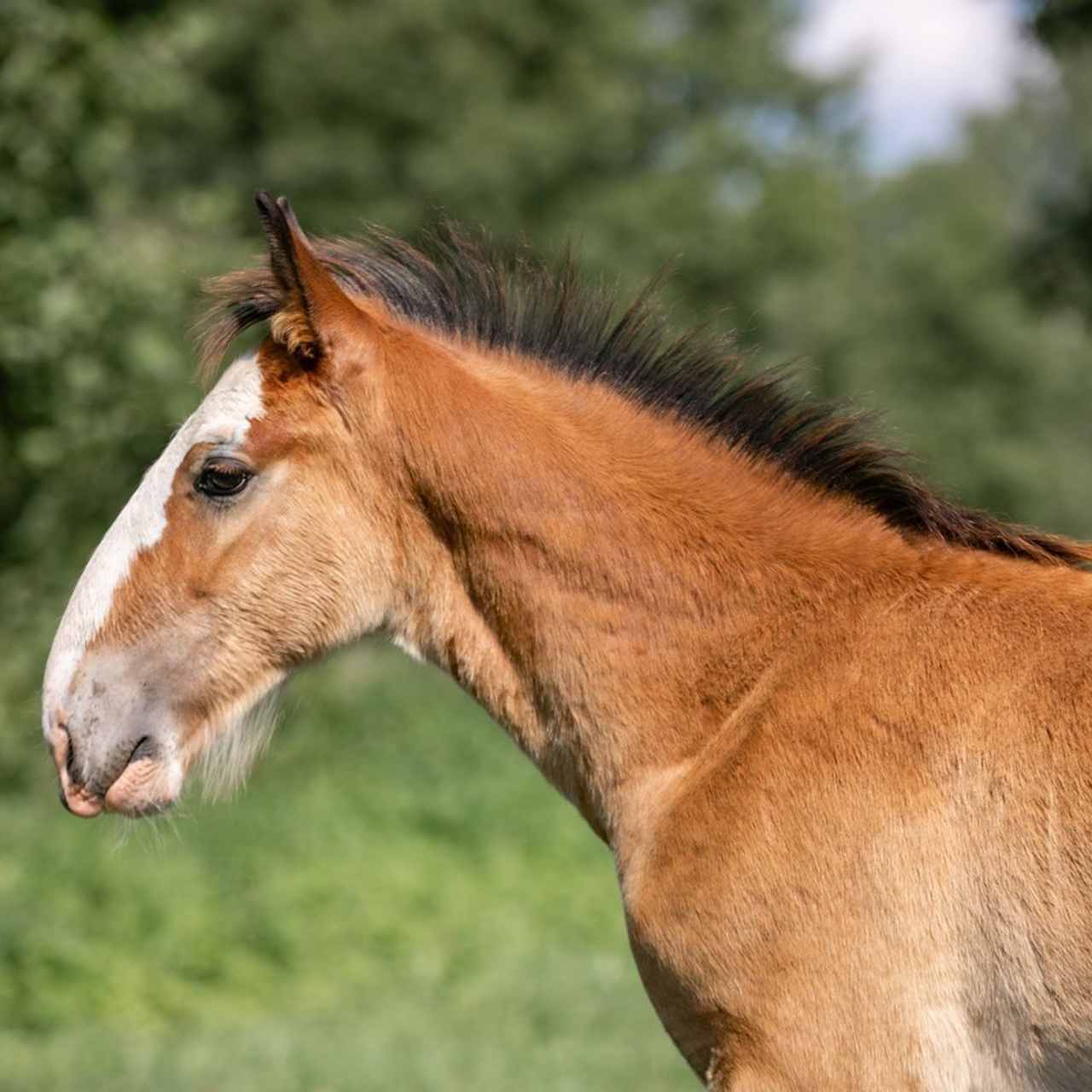 Отзывы. Ася Пчелинцева, фотограф в СПб и ЛО