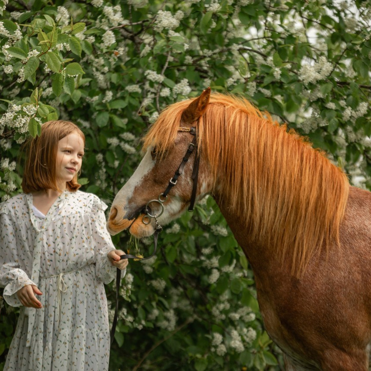 Отзывы. Ася Пчелинцева, фотограф в СПб и ЛО