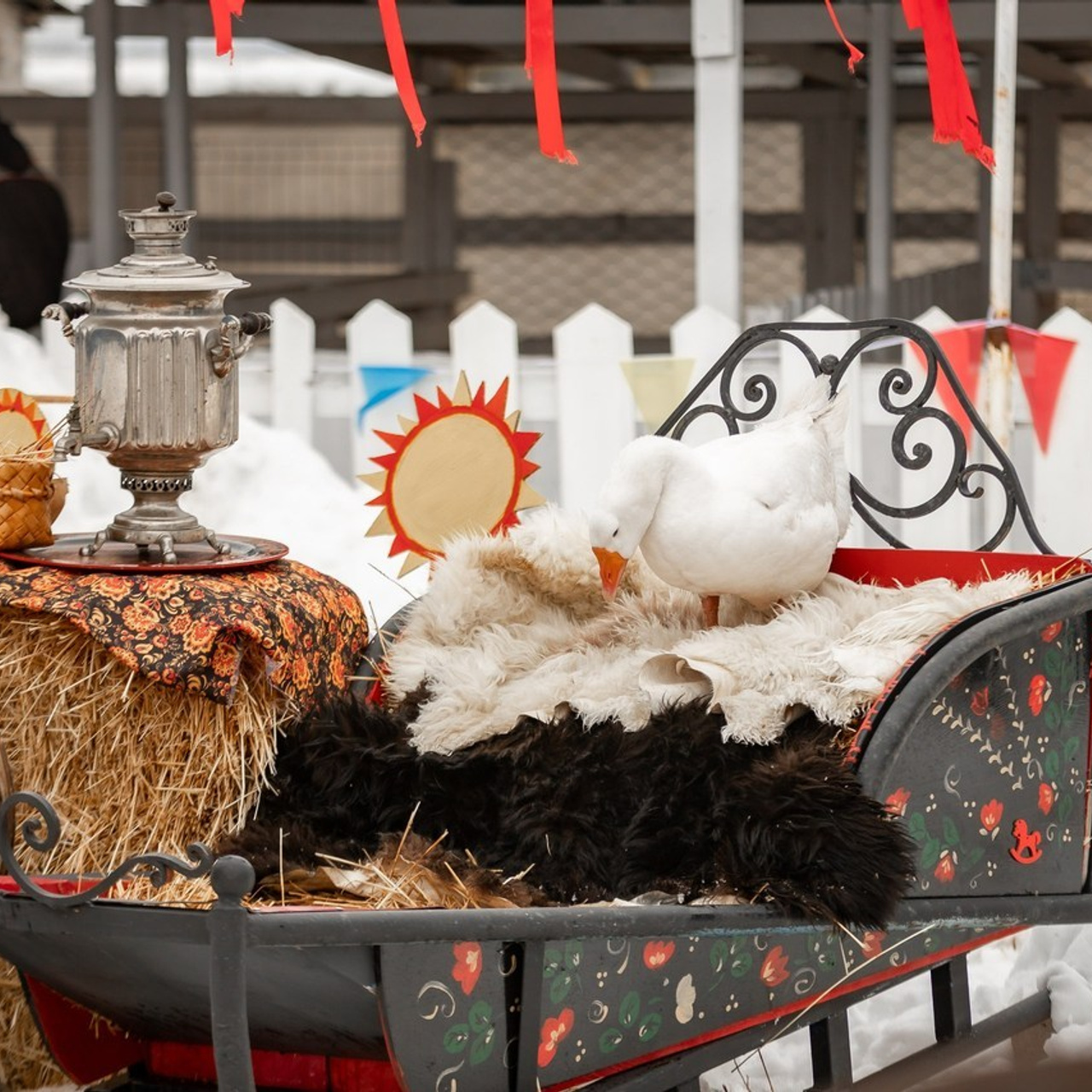 Отзывы. Ася Пчелинцева, фотограф в СПб и ЛО