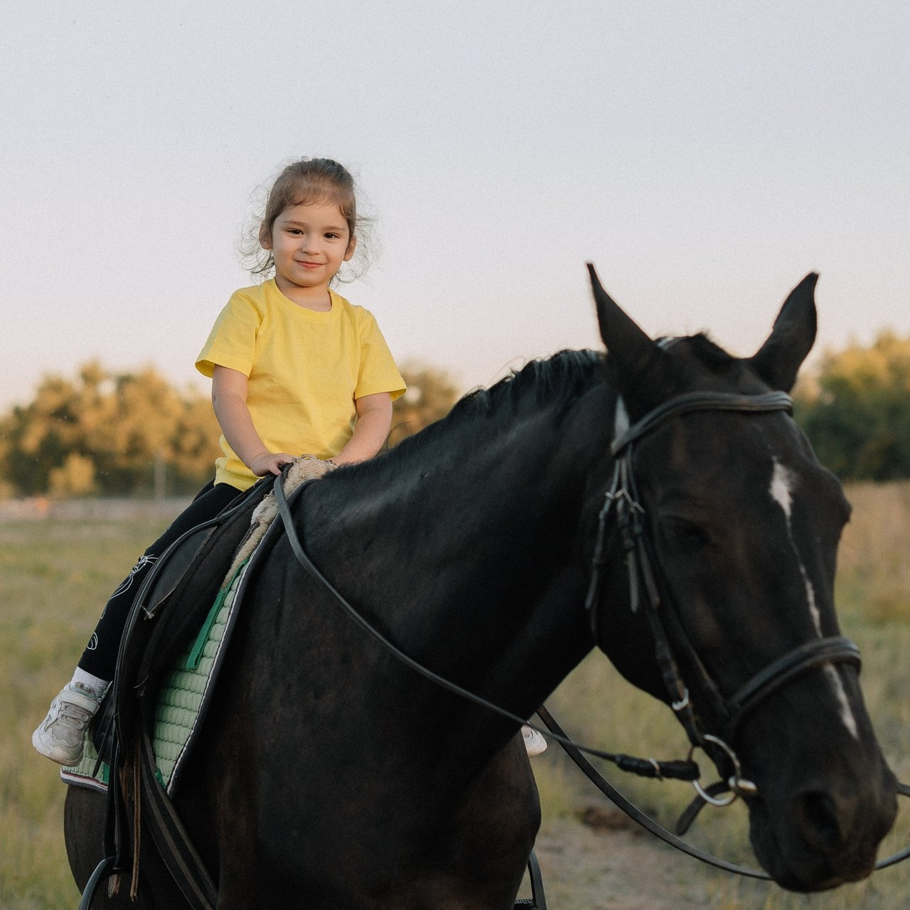 Отзывы. Свадебный фотограф