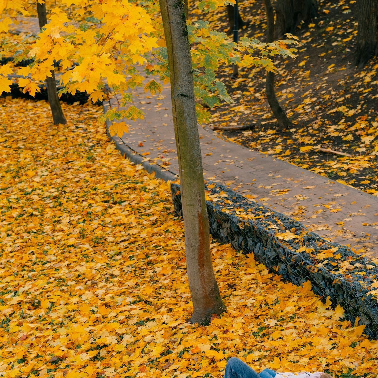 Отзывы. Фотограф в Москве