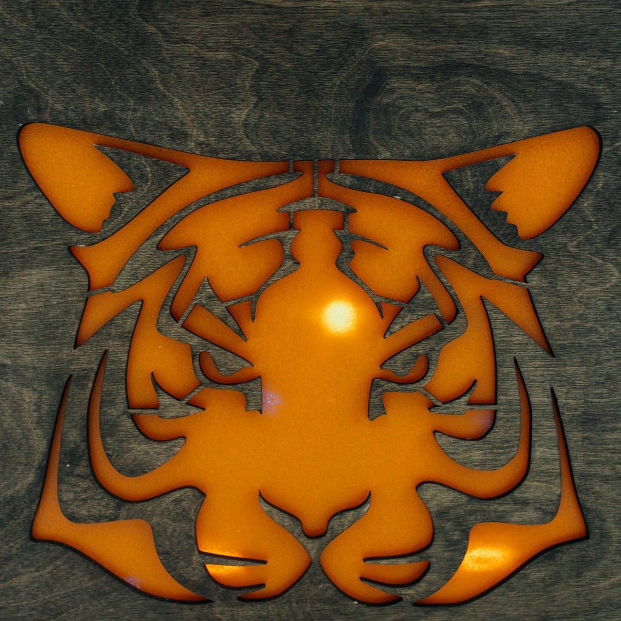 Отзывы. Фотограф в Санкт-Петербурге Виктория Безверхая