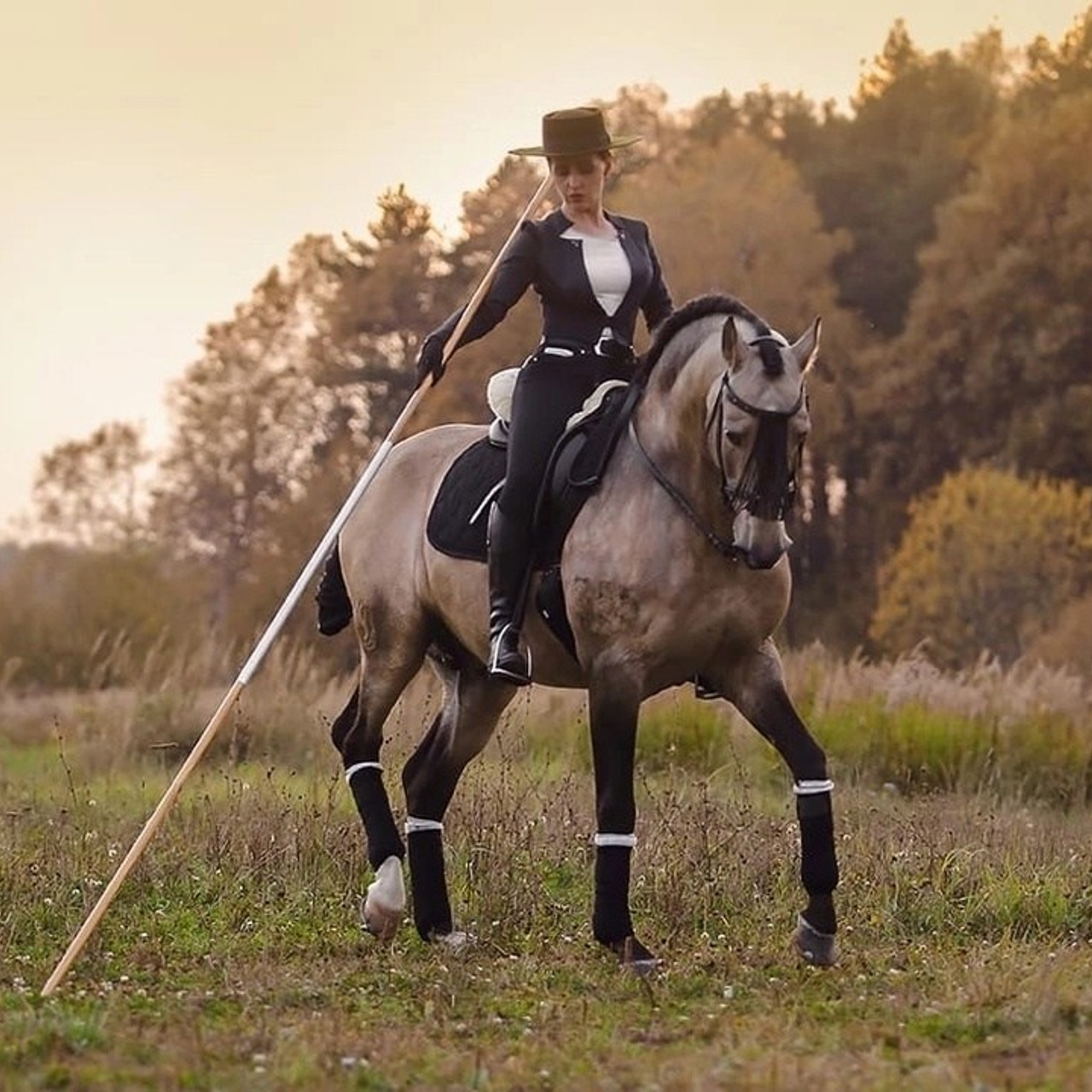 Заявка на этап “Стиль” серии АРВР 2025. Liana Antanovich | Equestrian Strategies