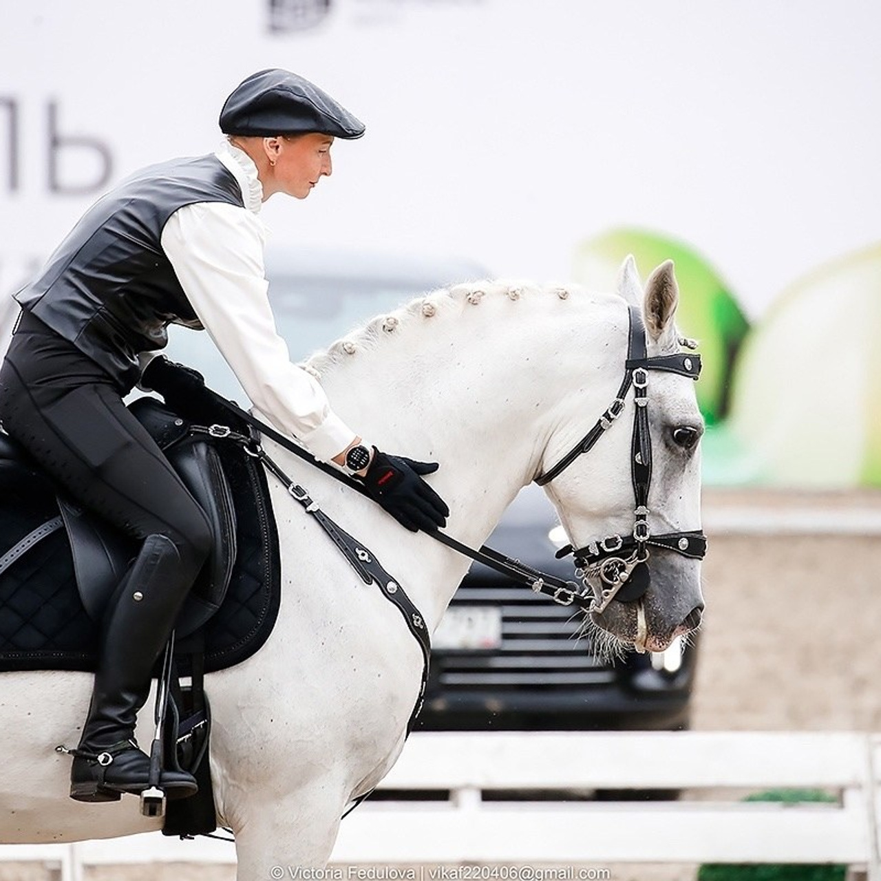 Заявка на этап “Выездка” серии АРВР 2025. Liana Antanovich | Equestrian Strategies