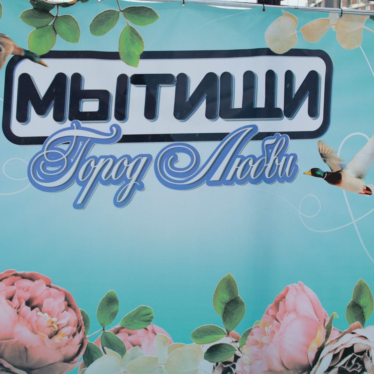 Отзывы. Александра Мельниченко/ Бегающий фотограф