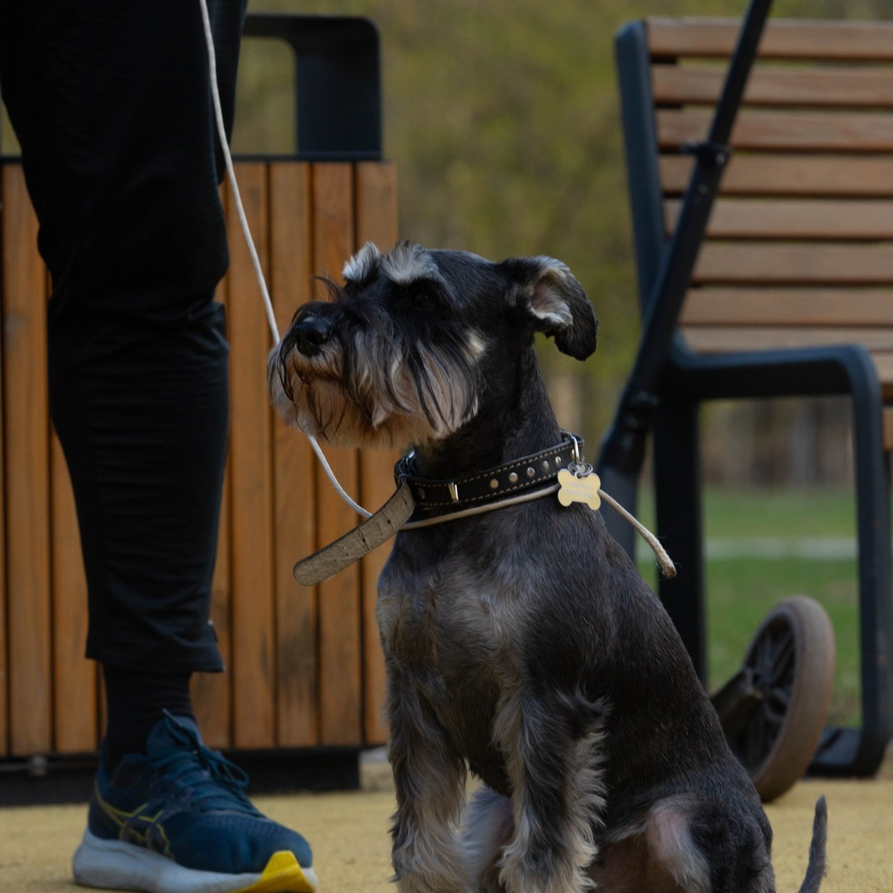 Отзывы. Александра Мельниченко/ Бегающий фотограф