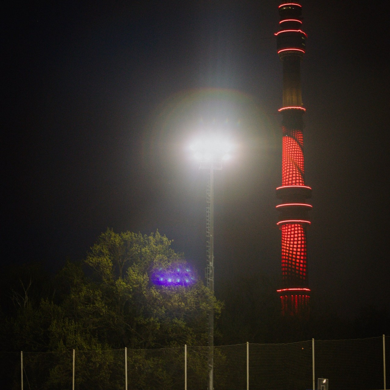 Отзывы. Александра Мельниченко/ Бегающий фотограф