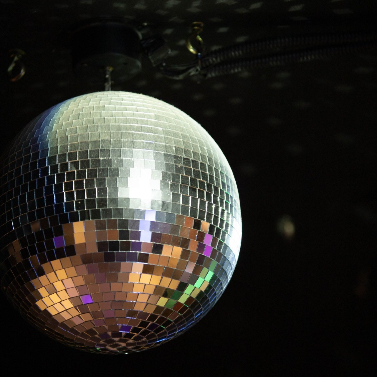 Отзывы. Александра Мельниченко/ Бегающий фотограф