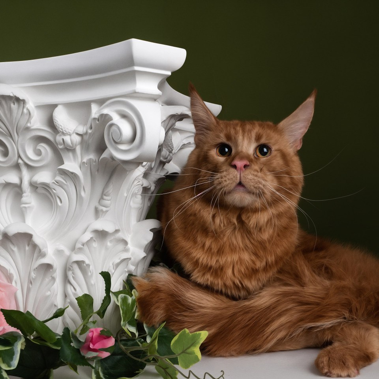 Отзывы. Сайт портфолио двух профессиональных фотографов