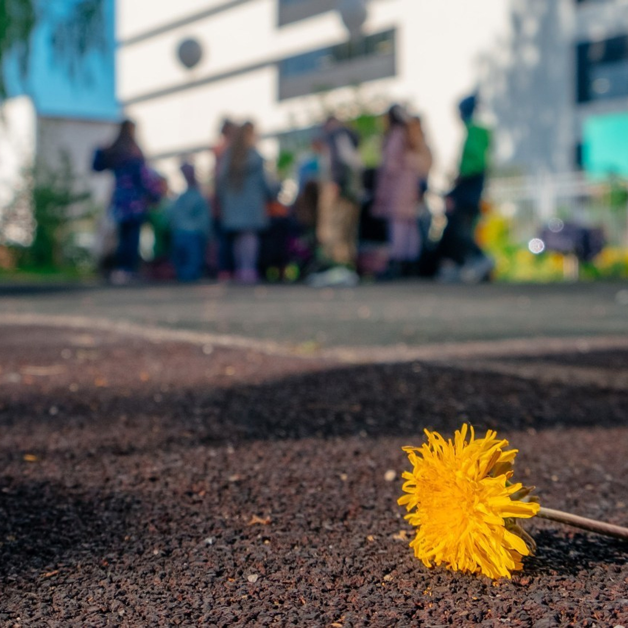 Отзывы. Фотограф Молчанов Александр