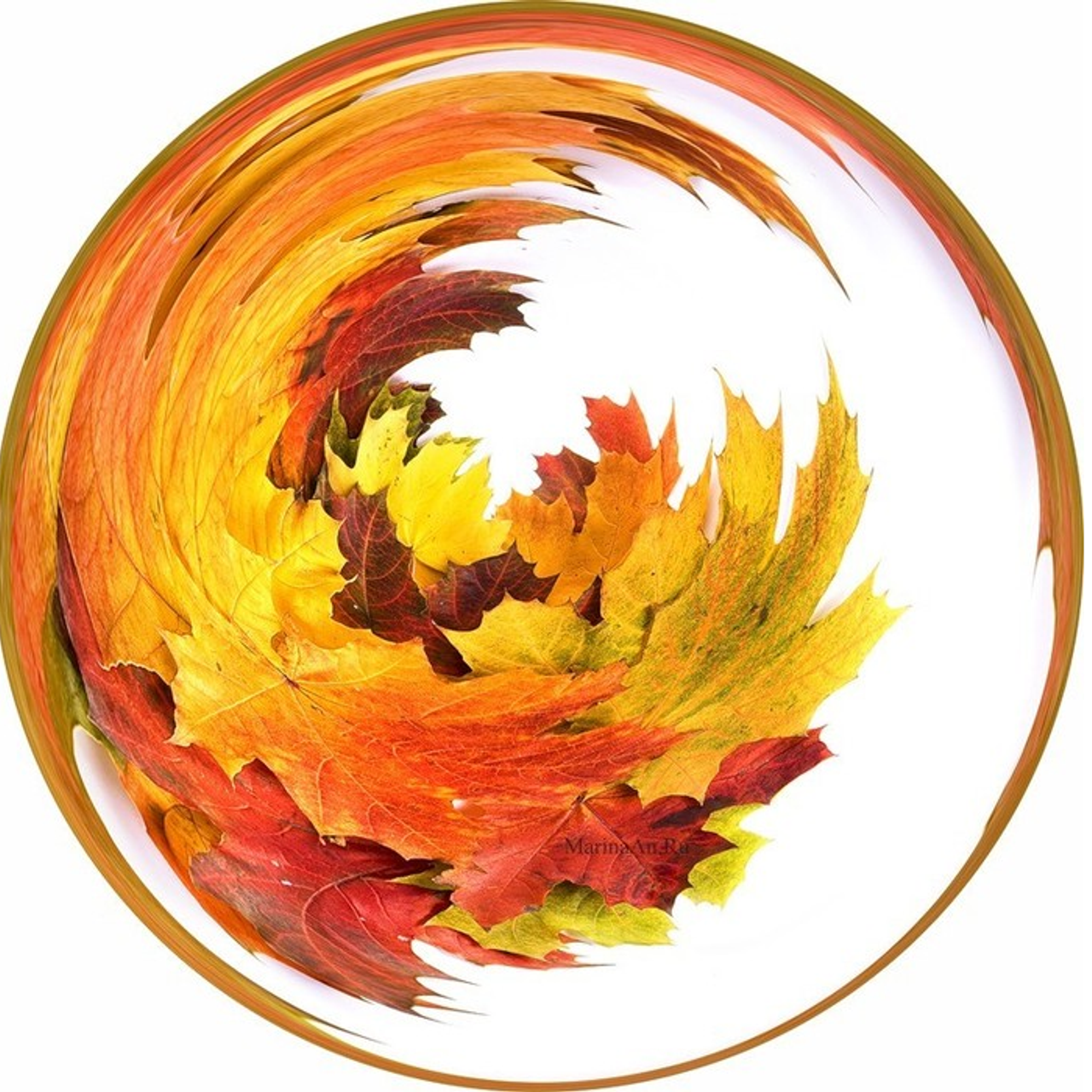 Отзывы. Фотограф Молчанов Александр