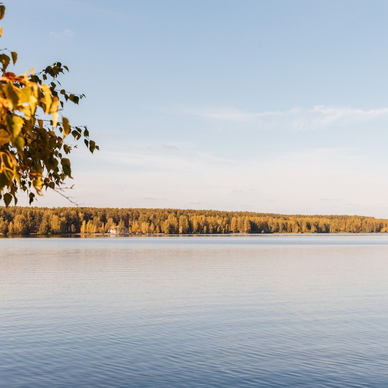 Отзывы. Фотограф Молчанов Александр