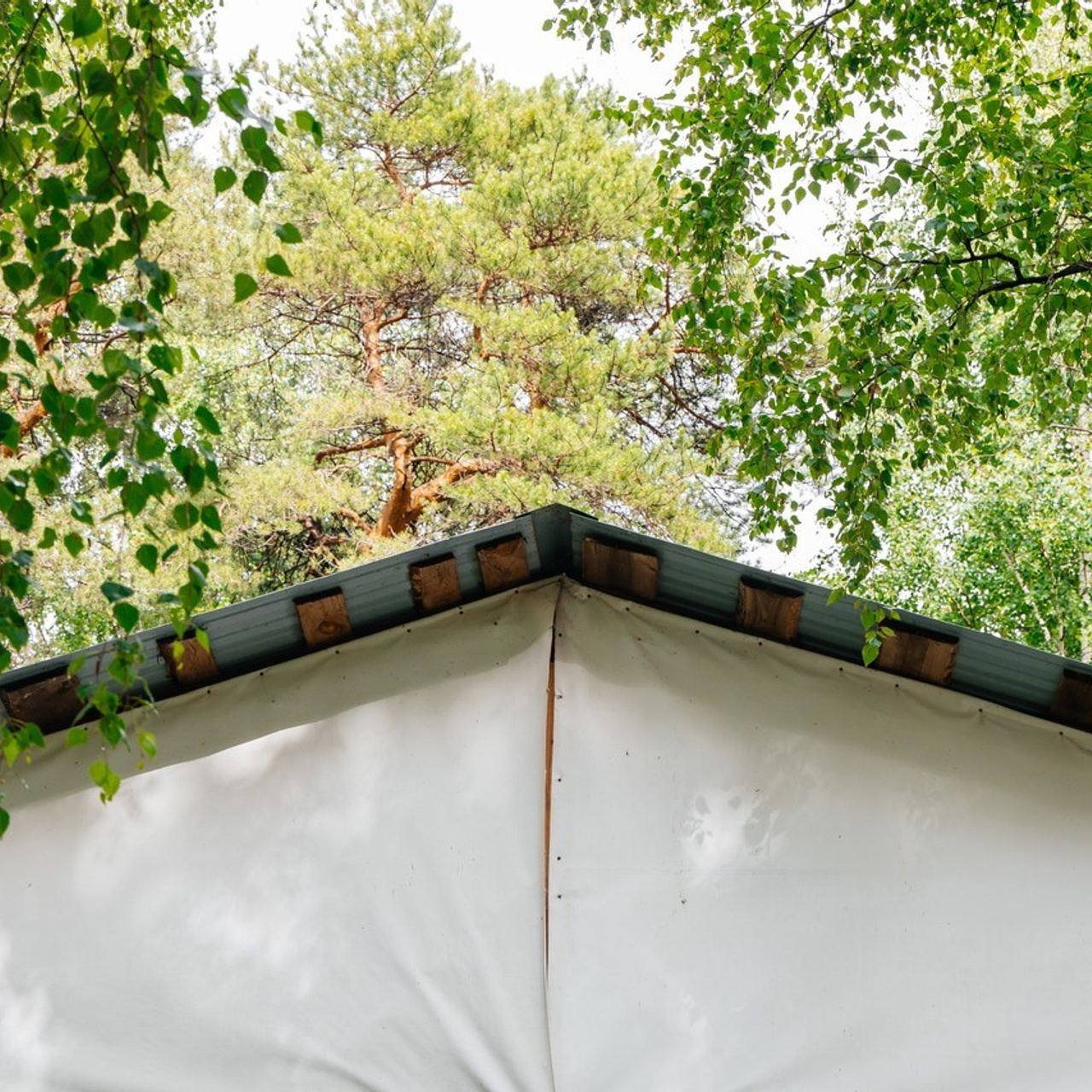 Отзывы. Фотограф Молчанов Александр