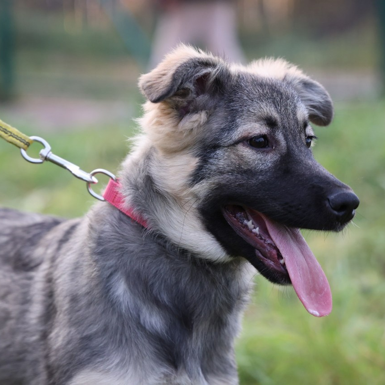 Отзывы. Фотограф в Санкт-Петербурге Анна Сосновская
