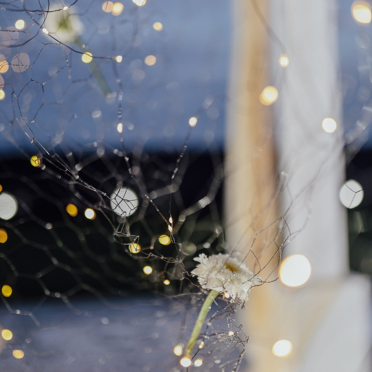 Отзывы. Свадебный и семейный фотограф Баева Дарья, город Йошкар — Ола