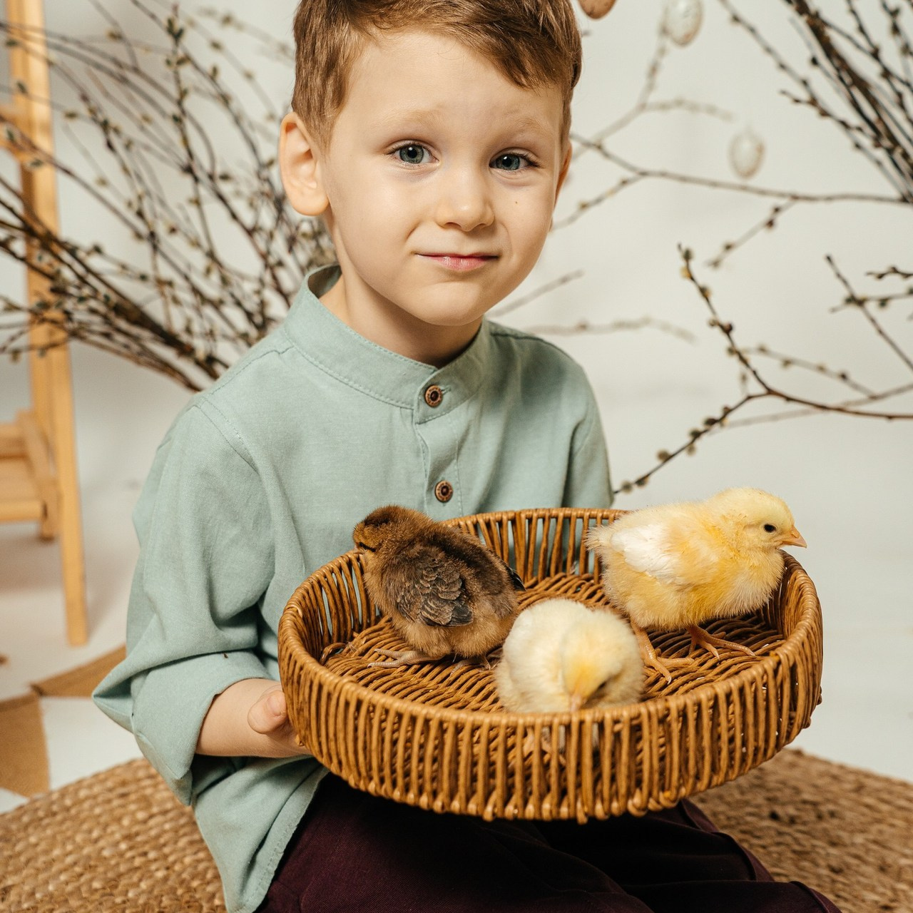 Отзывы. Семейный и детский фотограф в городе Асино Ольга Пепеляева