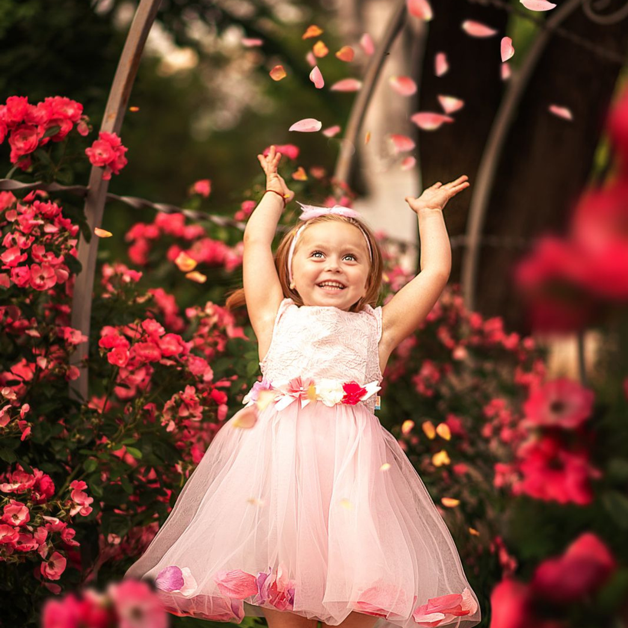 Отзывы. Выпускные альбомы в Крыму